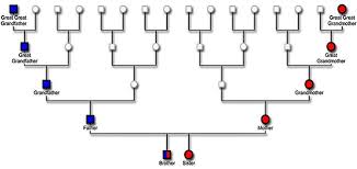 dna family tree