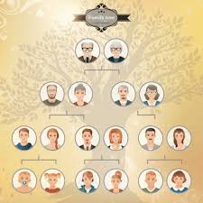 trace family tree