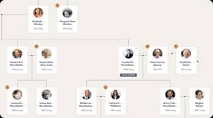 ancestry family tree search