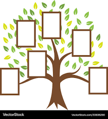 family tree outline