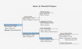 jane mcdonald family tree