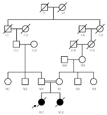 pedigree family tree