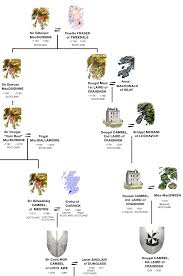 campbell family tree