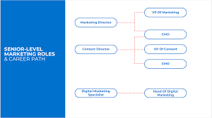 seo career path