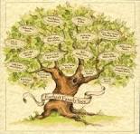 beautiful family tree